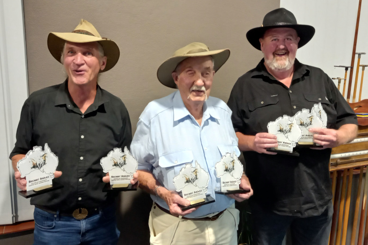 Brumby Award winners
